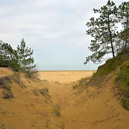 Wide Flat For 8 Guests In Lignano - Beahost